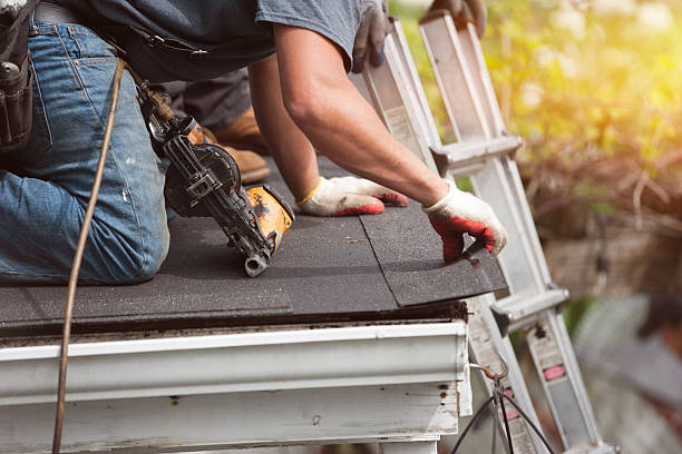 Best Metal Roofing Contractor  in Ripley, OH