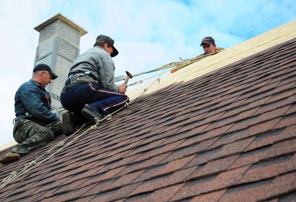 Best Roof Gutter Cleaning  in Ripley, OH